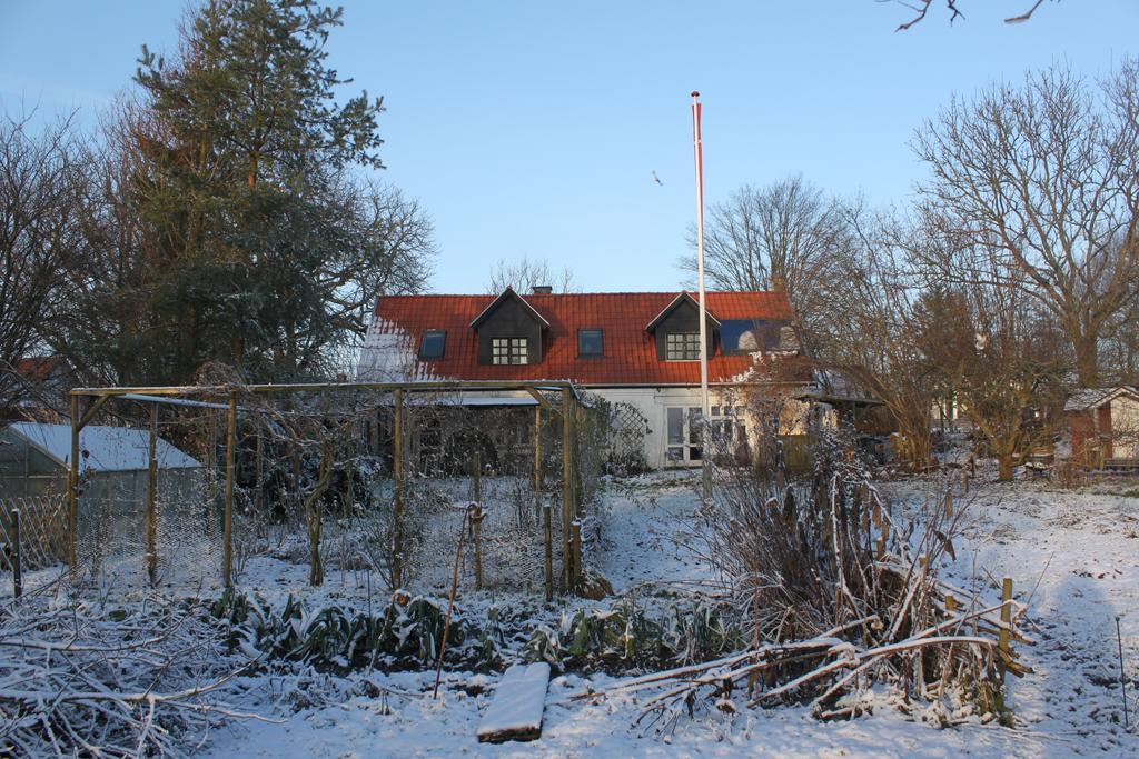 Borup Bed & Breakfast Bed & Breakfast Exterior photo